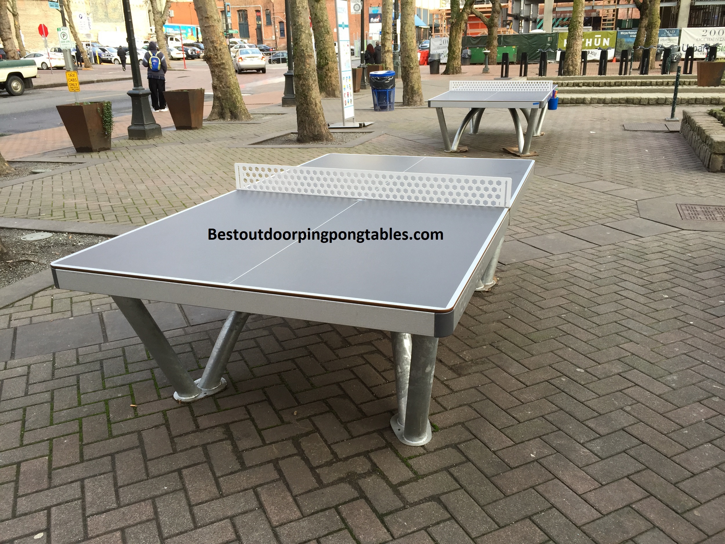 Unique Indoor or Outdoor Ping Pong Table Tennis Table Seattle Hawaii, Alaska 