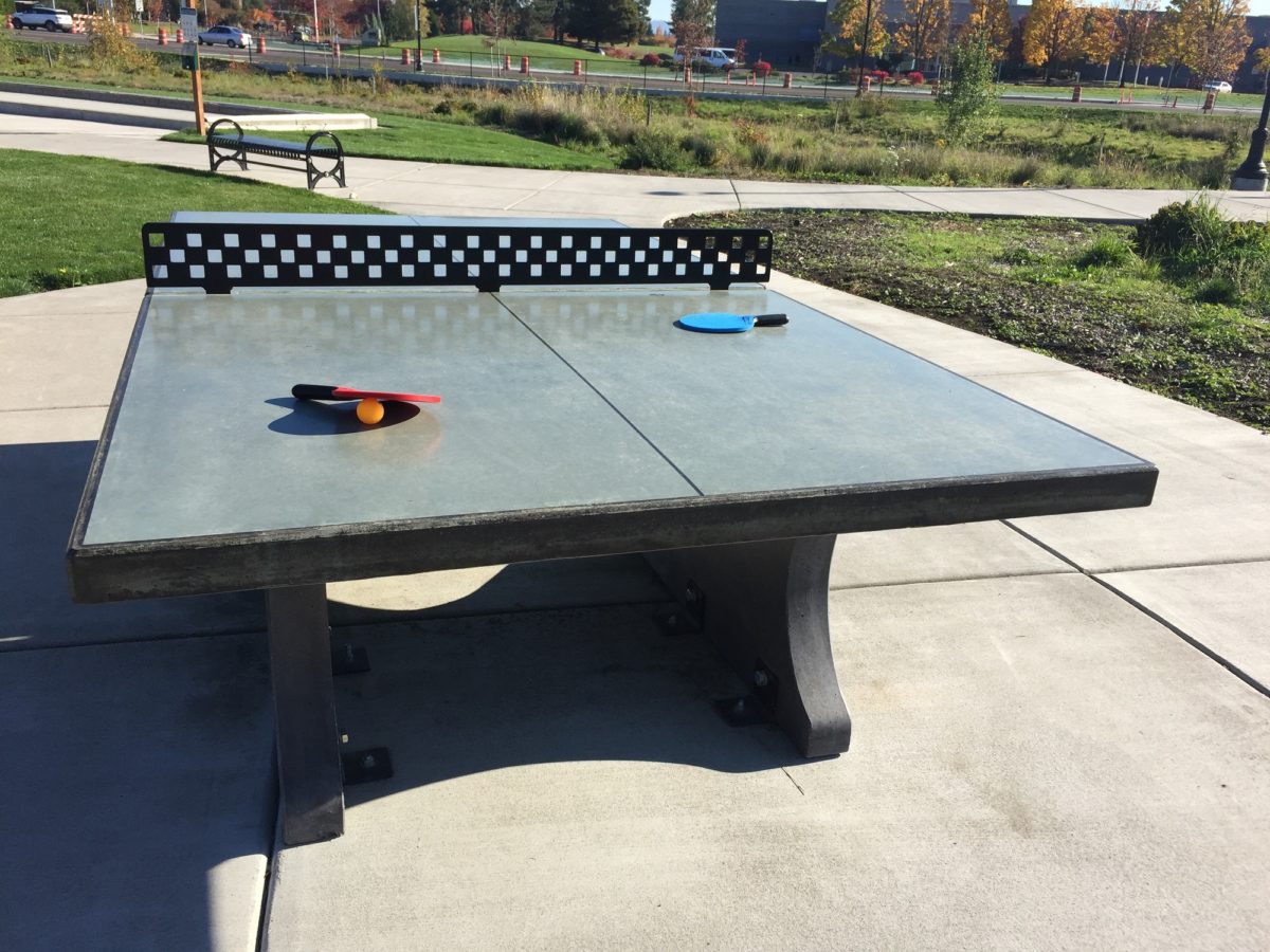 concrete ping pong table 23 Best Outdoor Ping Pong Tables