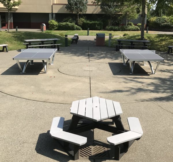 Cornilleau Park Outdoor Table - Best Outdoor Ping Pong Tables